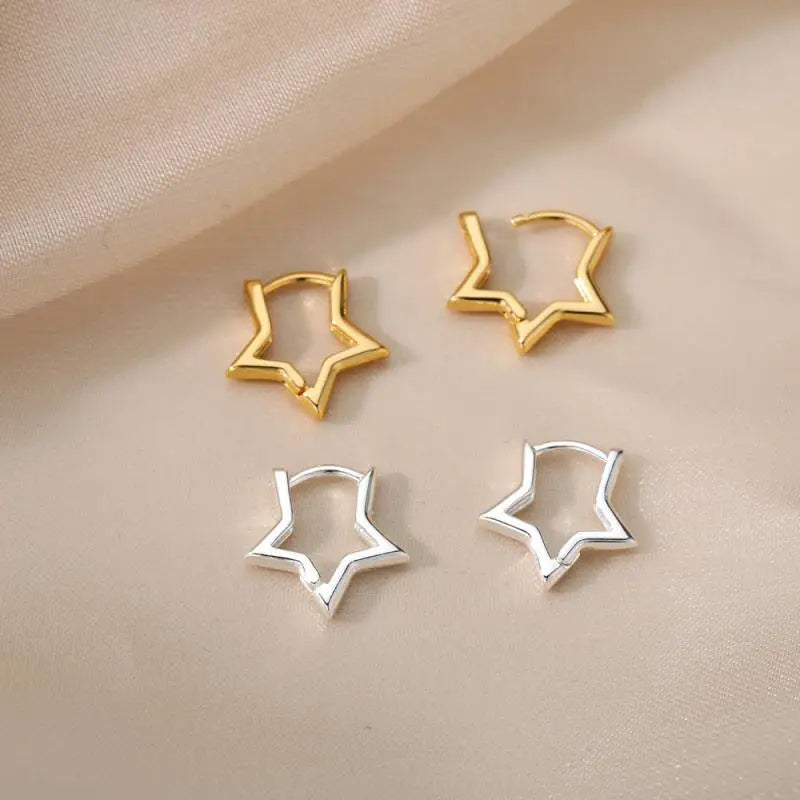 Stainless Steel Earrings for Women