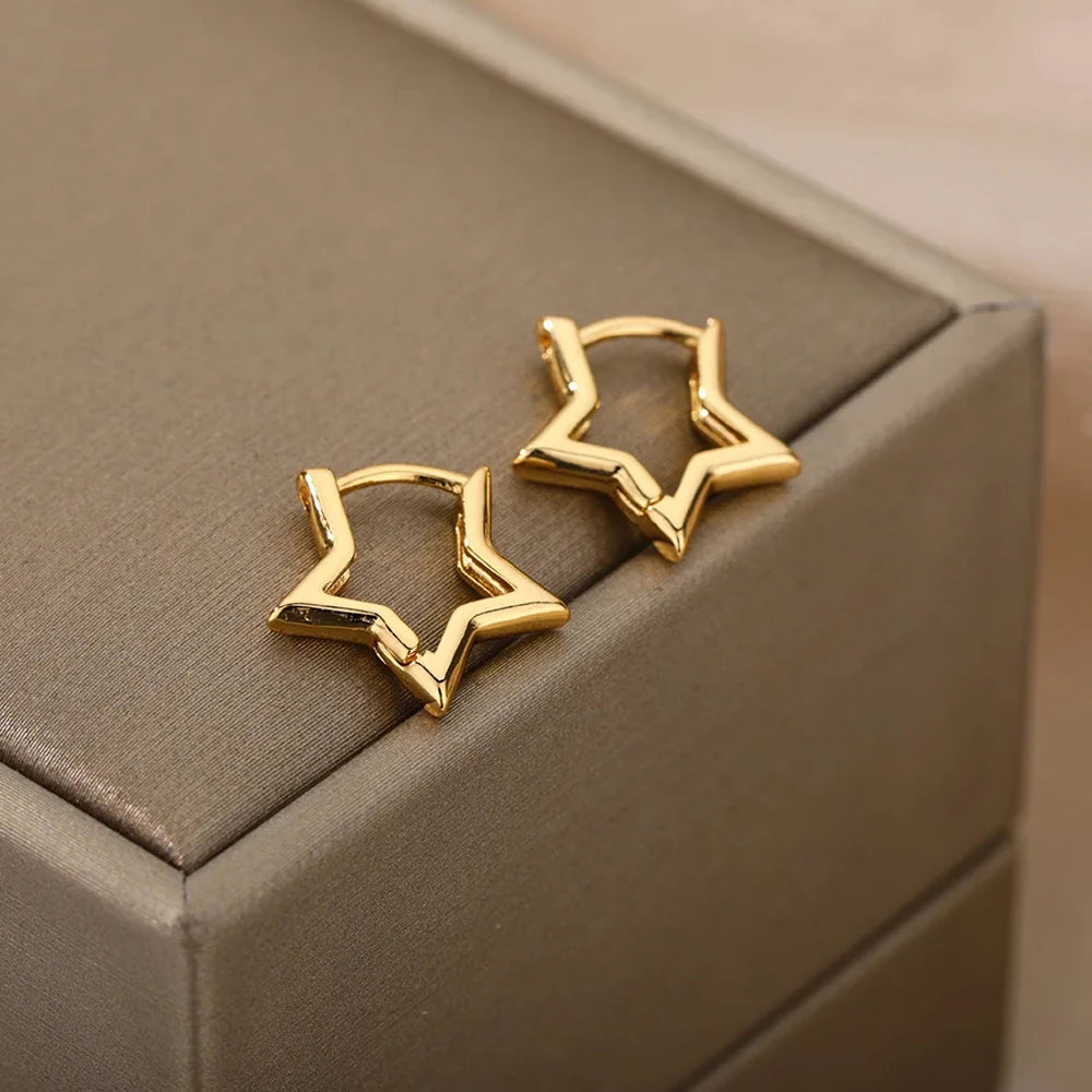 Stainless Steel Earrings for Women