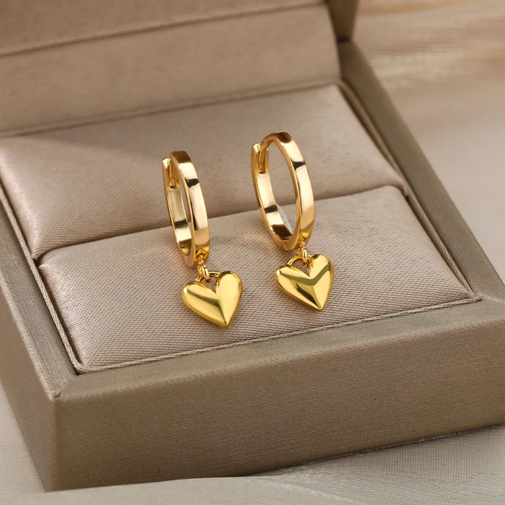 Stainless Steel Earrings for Women