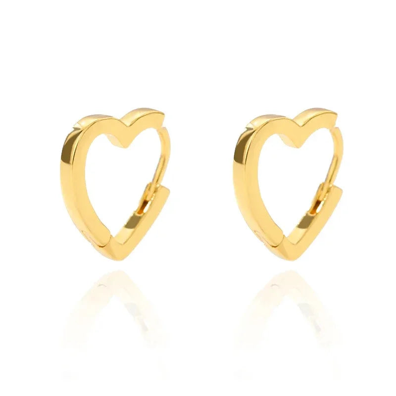 Stainless Steel Earrings for Women