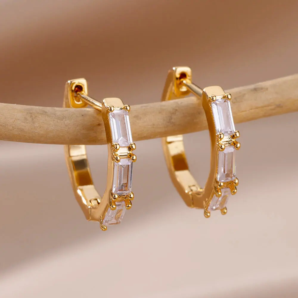 Stainless Steel Earrings for Women