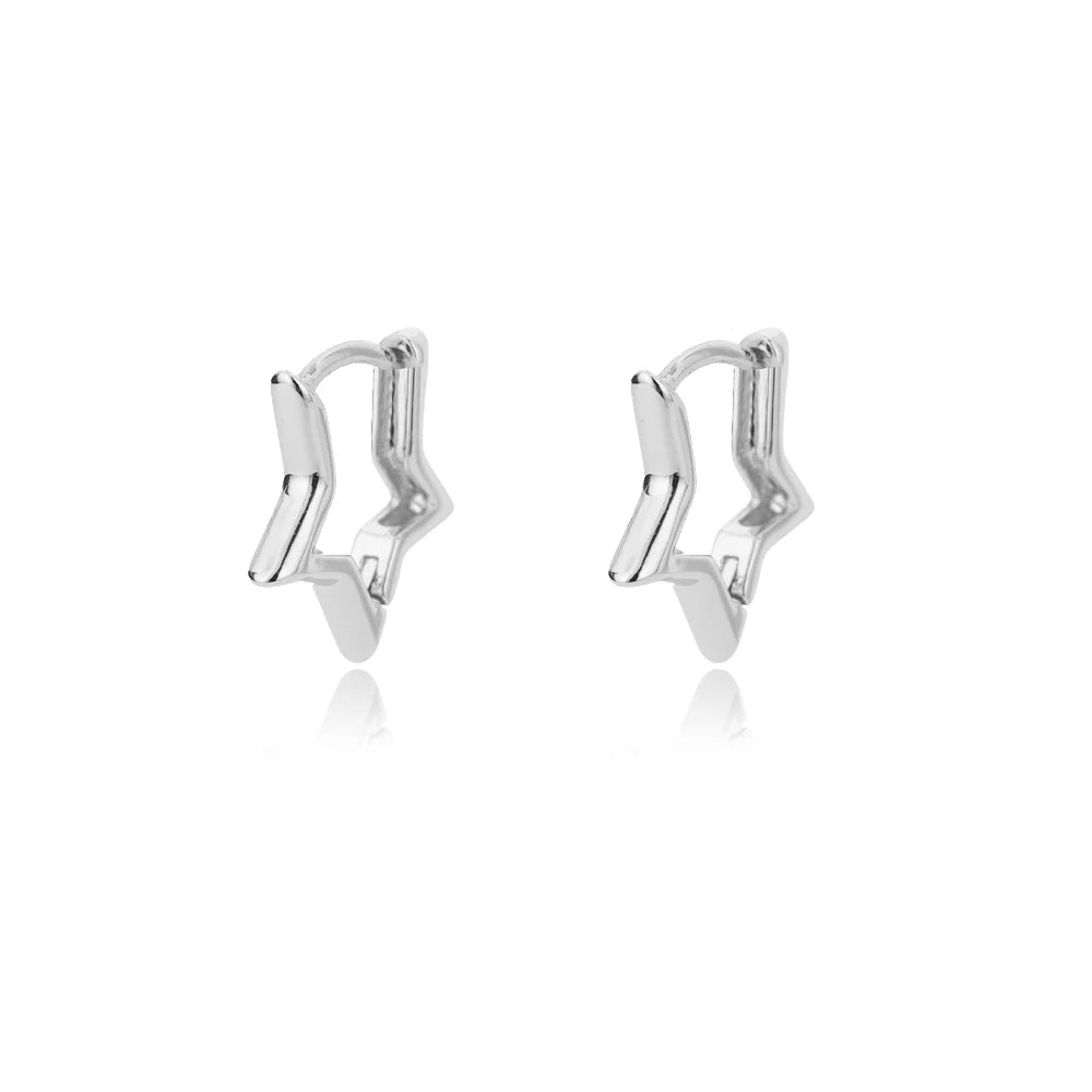 Stainless Steel Earrings for Women