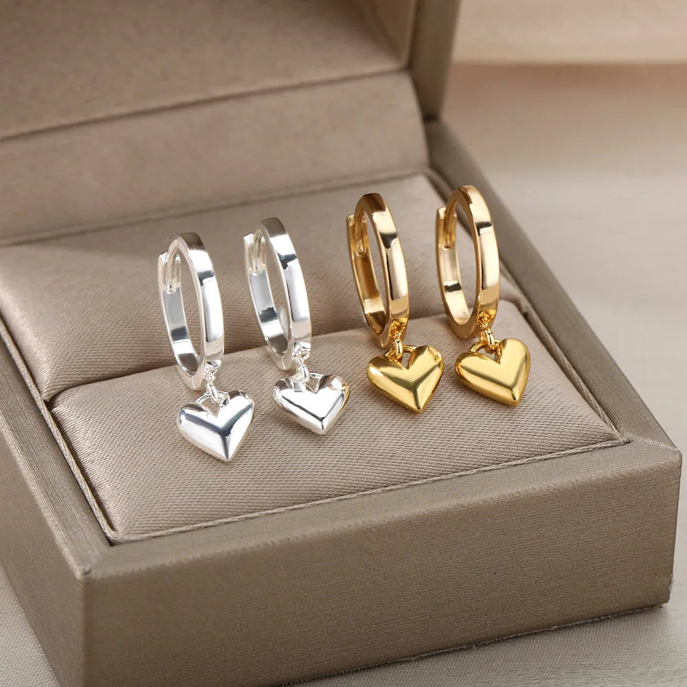 Stainless Steel Earrings for Women