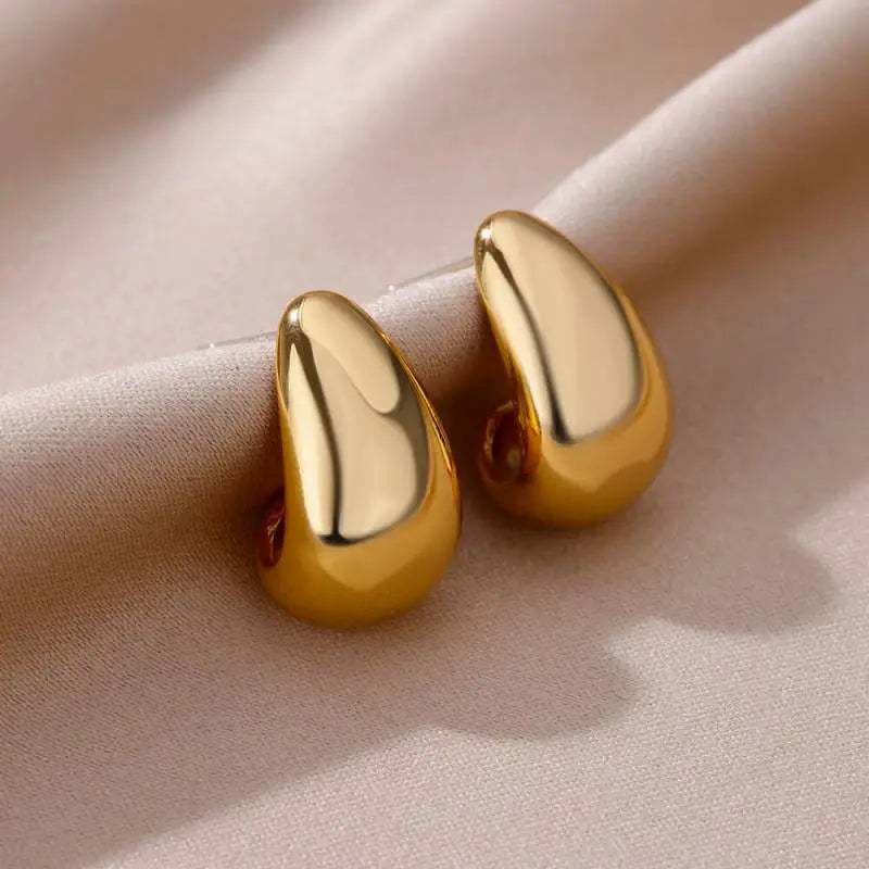 Stainless Steel Earrings for Women
