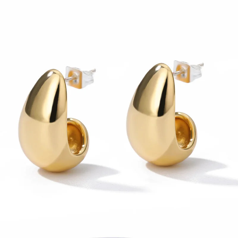 Stainless Steel Earrings for Women