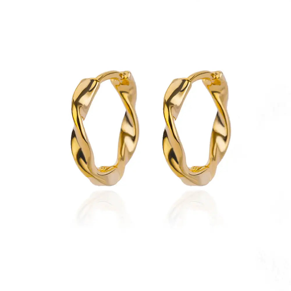 Stainless Steel Earrings for Women