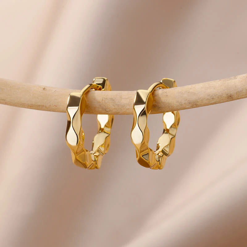 Stainless Steel Earrings for Women