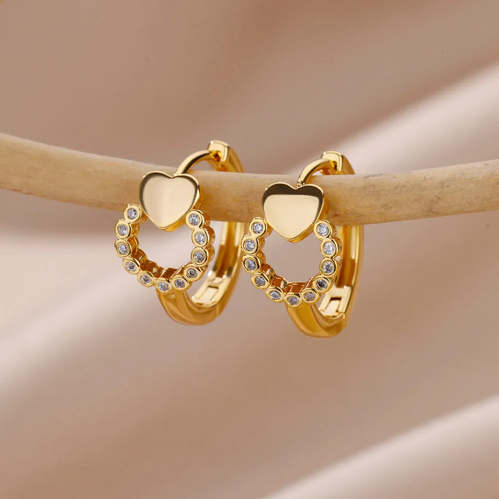 Stainless Steel Earrings for Women