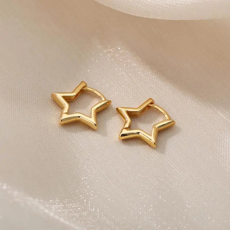 Stainless Steel Earrings for Women