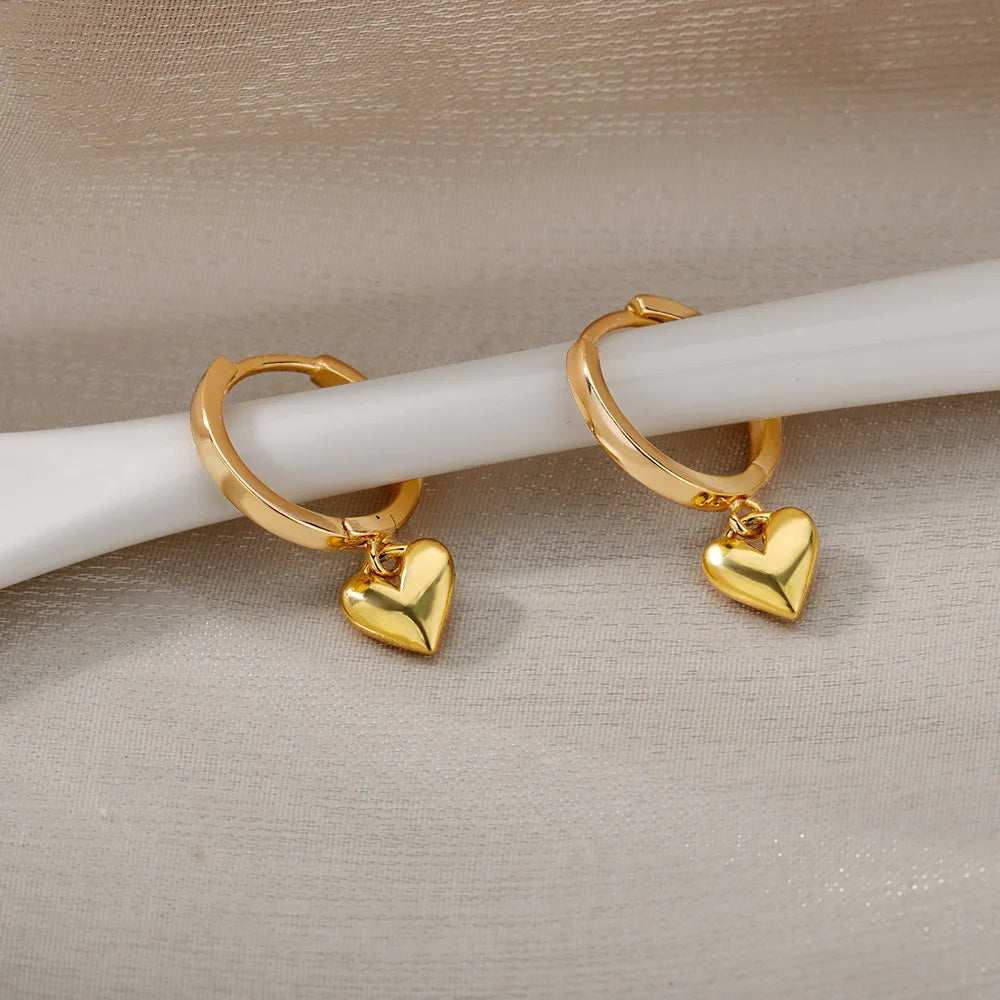 Stainless Steel Earrings for Women