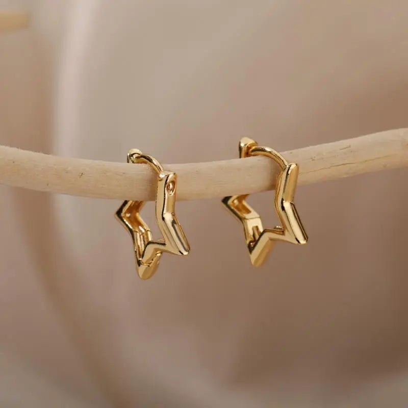 Stainless Steel Earrings for Women