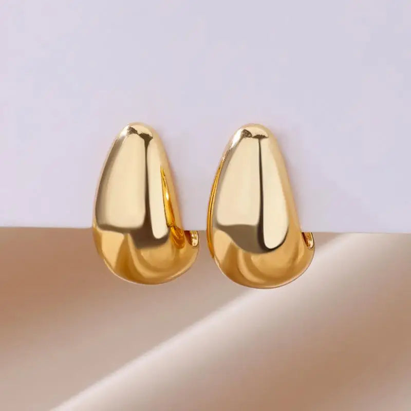 Stainless Steel Earrings for Women
