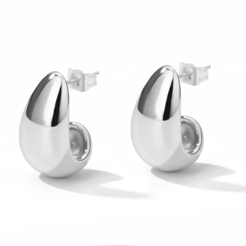 Stainless Steel Earrings for Women