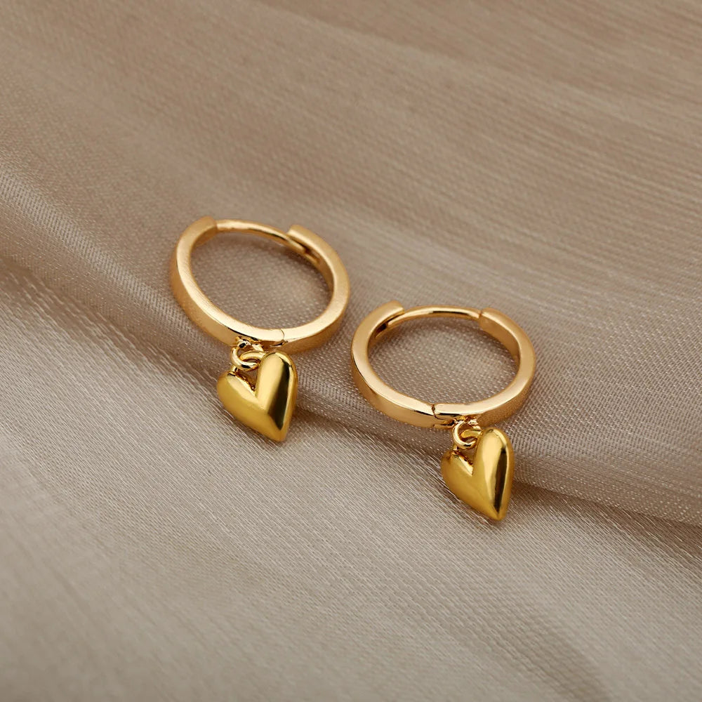 Stainless Steel Earrings for Women