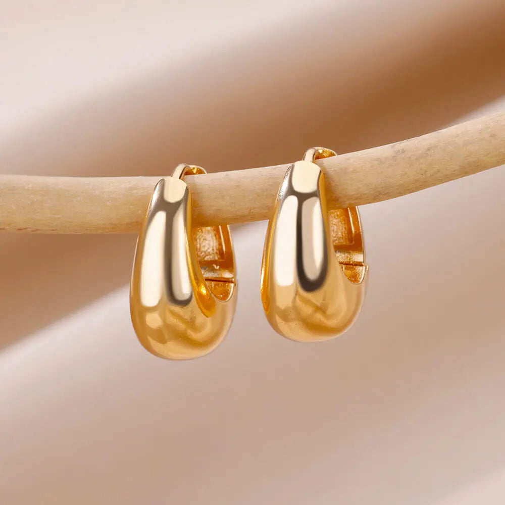 Stainless Steel Earrings for Women